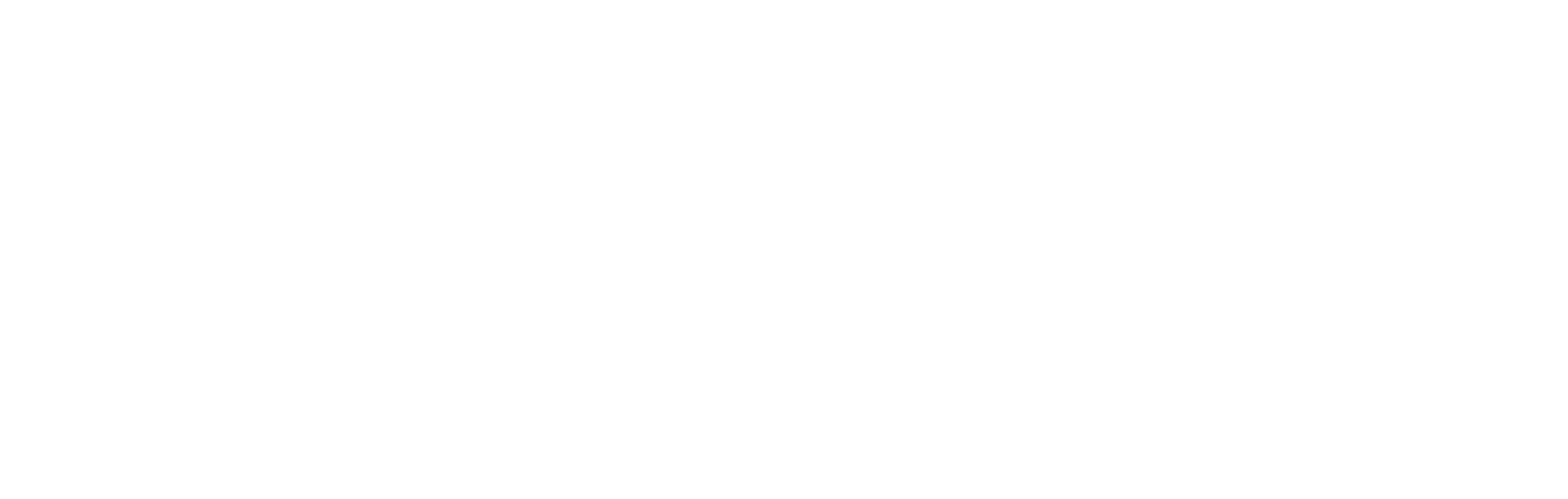 Strobel Physiotherapie Logo weiß